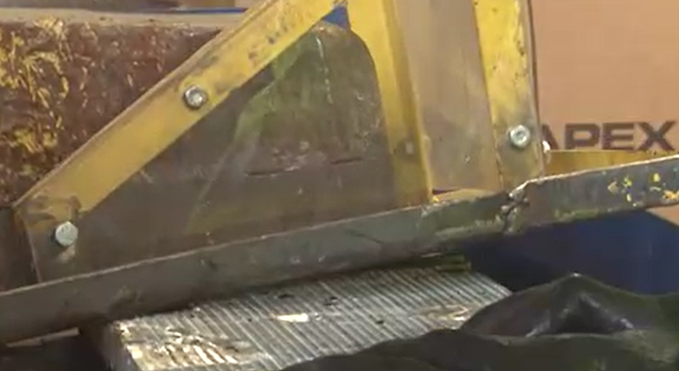 Alligator Shear
