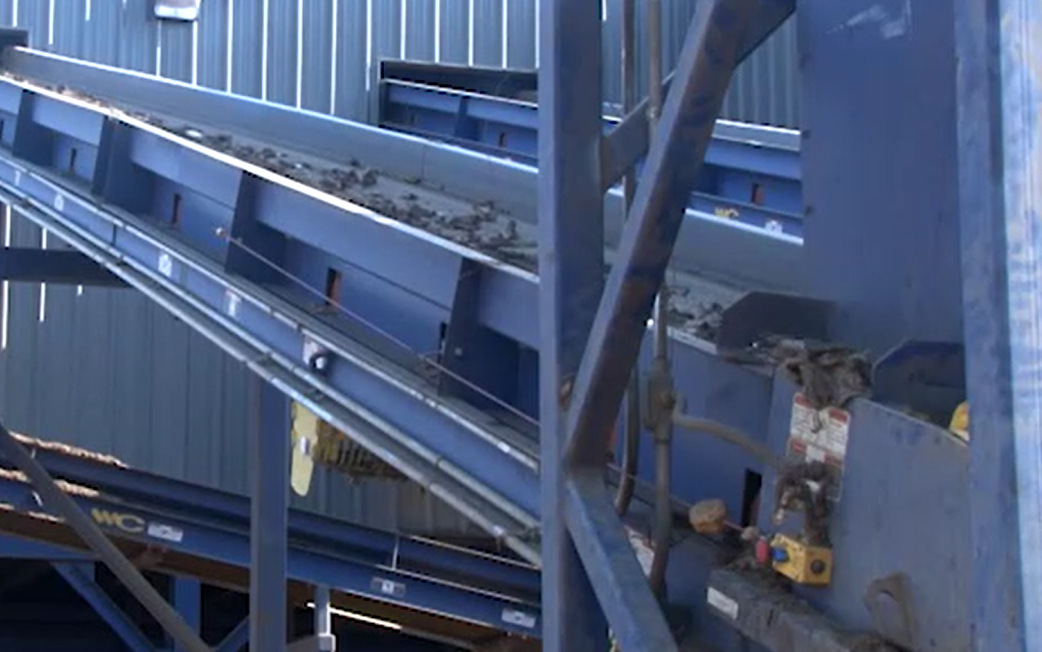 Conveyor Safety