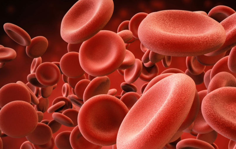Bloodborne Pathogens