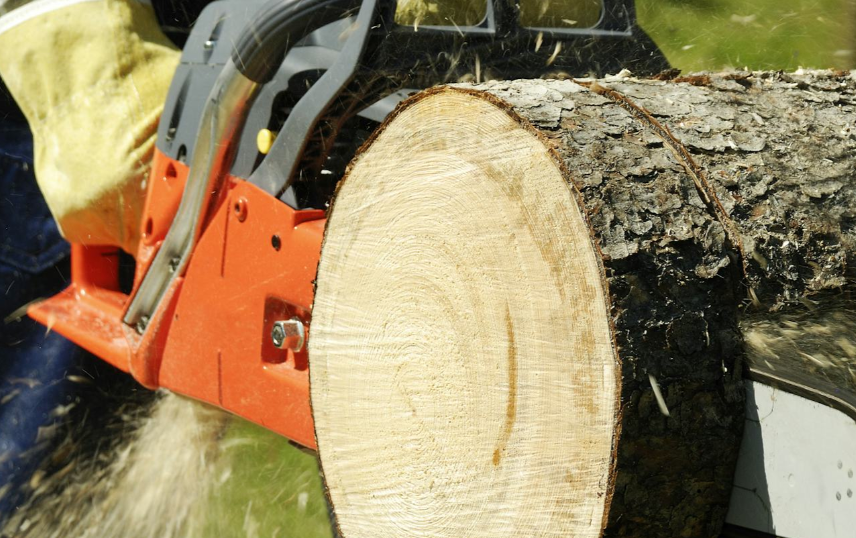 Chainsaw Safety