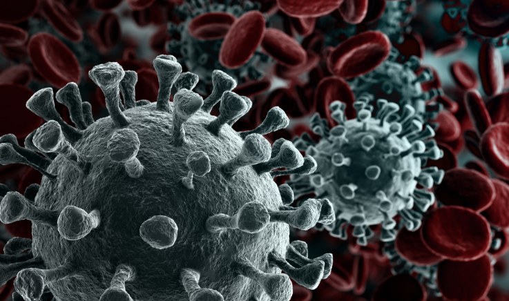 COVID-19: The Importance of Infection Control Measures to Prevent the Spread