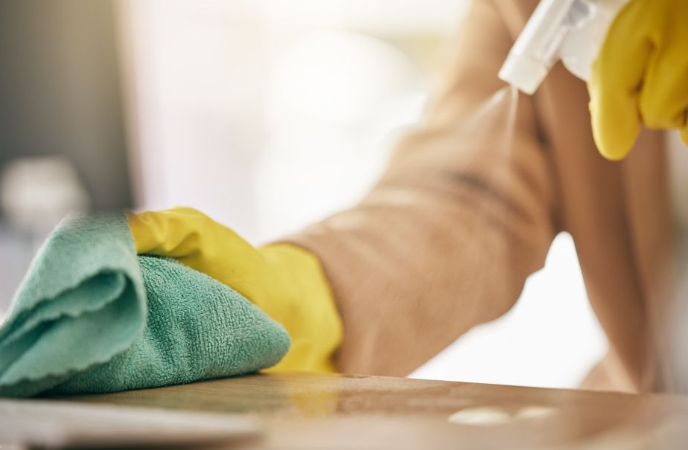 Lessons Learned During Collaborations between Infection Prevention and Environmental Services Personnel