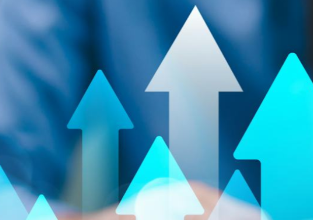 Maximizing Employee Performance