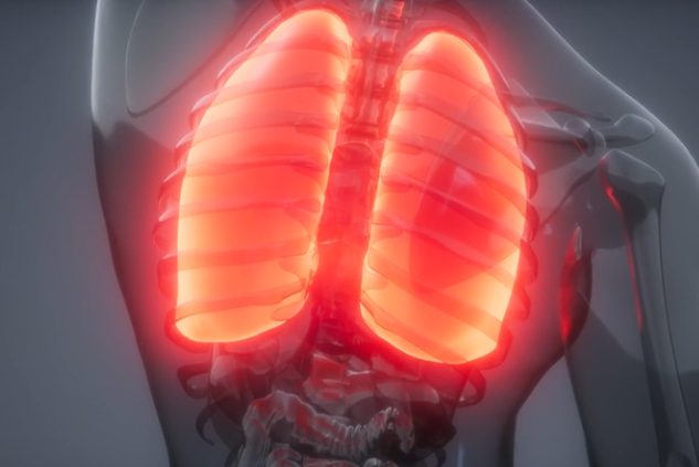 Tuberculosis in Healthcare Environments