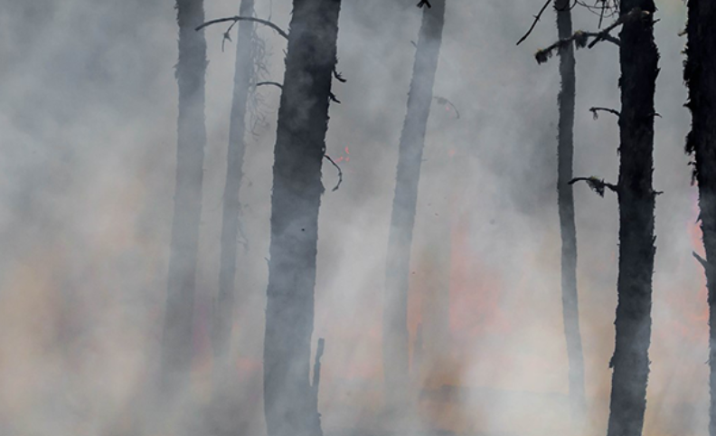 Wildfire Smoke Safety